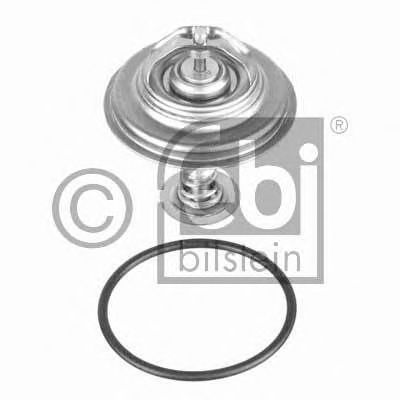 термостат, охладителна течност 10263