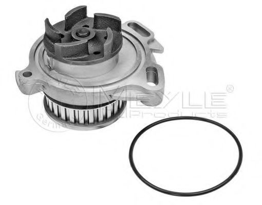 водна помпа