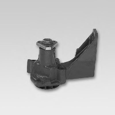 водна помпа P110