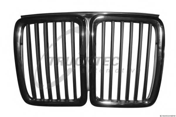 решетка пред радиатора