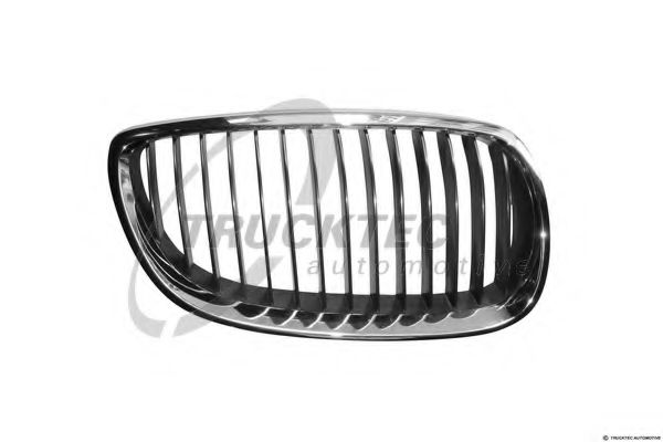 решетка пред радиатора