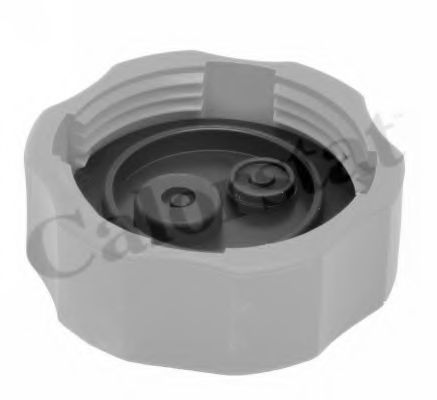 капачка, резервоар за охладителна течност