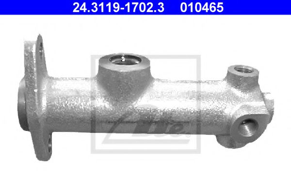 Спирачна помпа 24.3119-1702.3