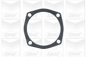 водна помпа PA101