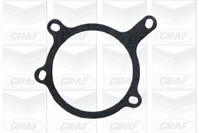 водна помпа PA501