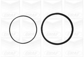 водна помпа PA695