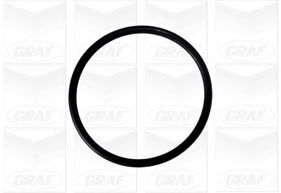 водна помпа PA875