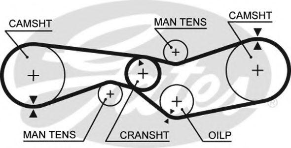Ангренажен ремък 5009