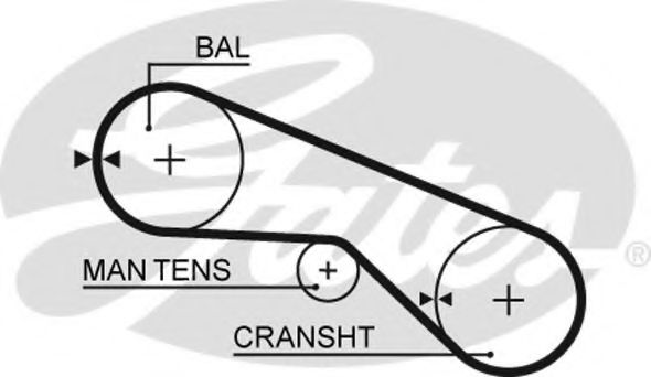 Ангренажен ремък 5025