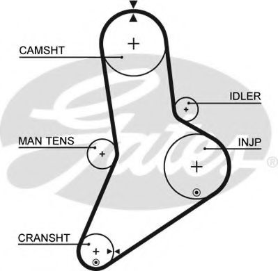 Ангренажен ремък 5038