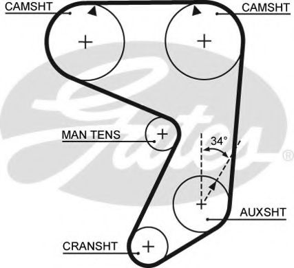 Ангренажен ремък 5081