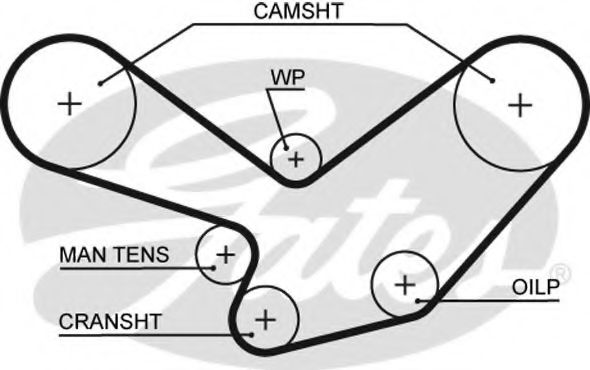 Ангренажен ремък 5096