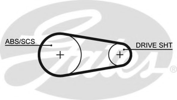Ангренажен ремък 5203XS