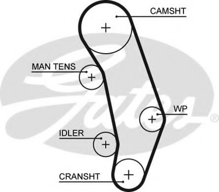 Ангренажен ремък 5346XS