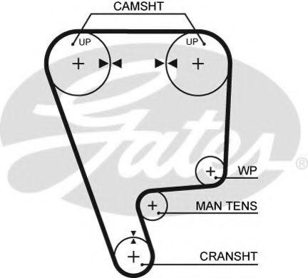 Ангренажен ремък 5348XS