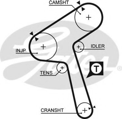 Ангренажен ремък 5363XS