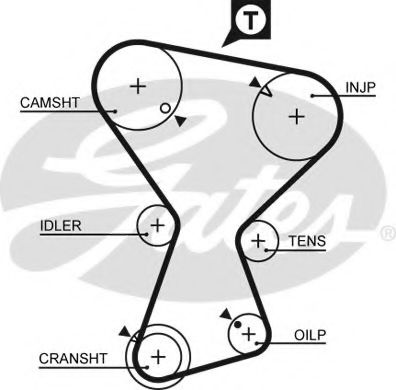 Ангренажен ремък