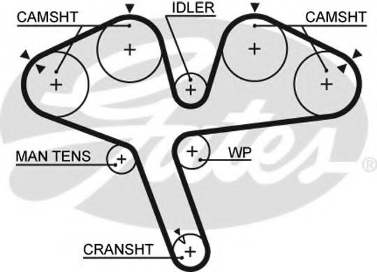 Ангренажен ремък 5376XS