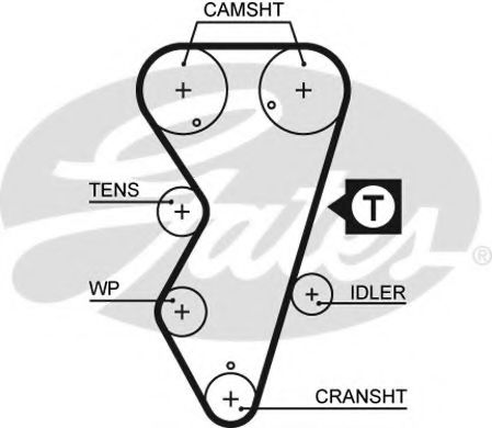 Ангренажен ремък 5412XS