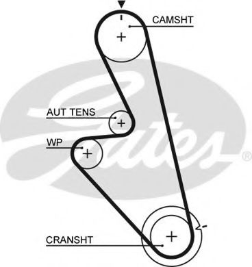 Ангренажен ремък 5449