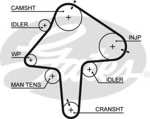Ангренажен ремък 5482XS