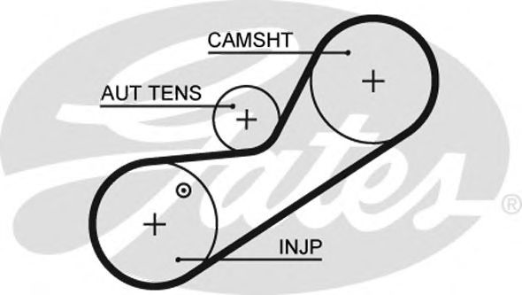 Ангренажен ремък 5546XS