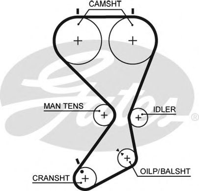 Ангренажен ремък 5556XS