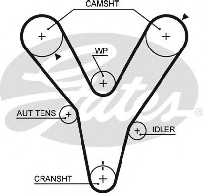 Ангренажен ремък 5584XS