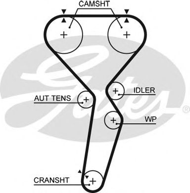 Ангренажен ремък 5585XS