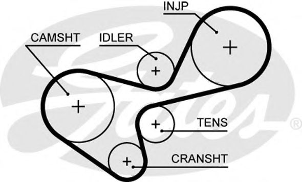 Ангренажен ремък 5639XS