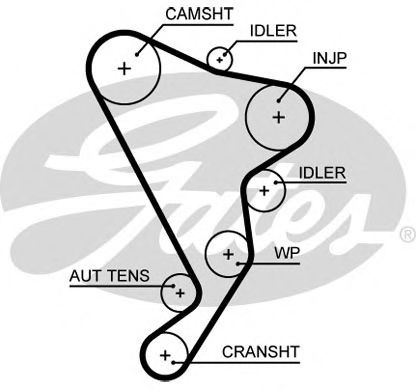 Ангренажен ремък 5661XS