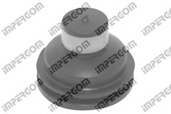 окачване, двигател 31651