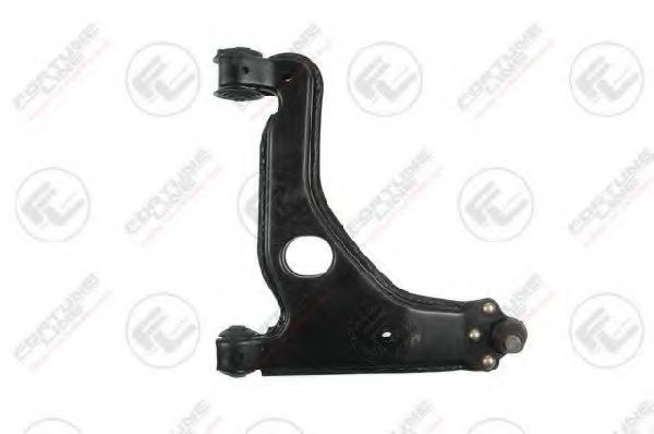 носач, окачване на колелата FZ6219