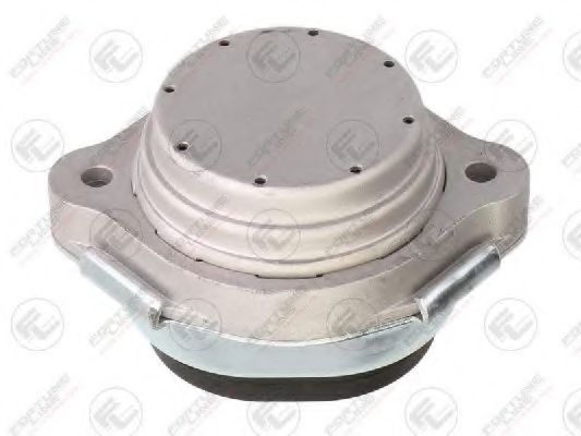 окачване, двигател FZ91211