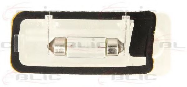 светлини на регистрационния номер 5402-003-13-905