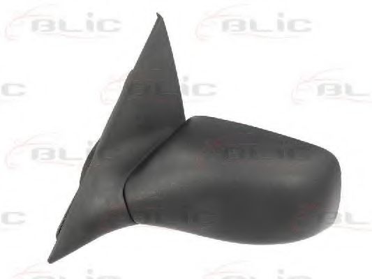 външно огледало 5402-04-1112398P