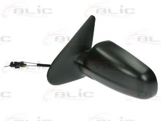 външно огледало 5402-04-1112999P