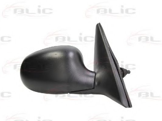 външно огледало 5402-04-1115190P