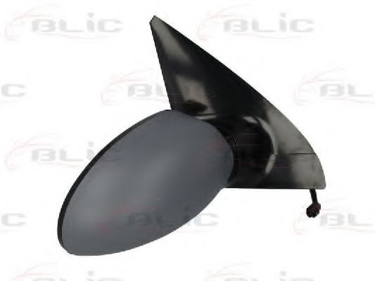 външно огледало 5402-04-1121399P