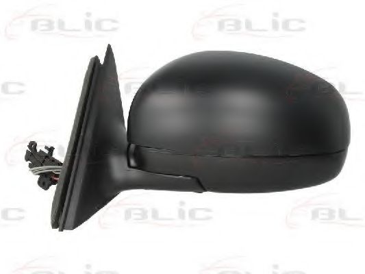 външно огледало 5402-04-1125559P