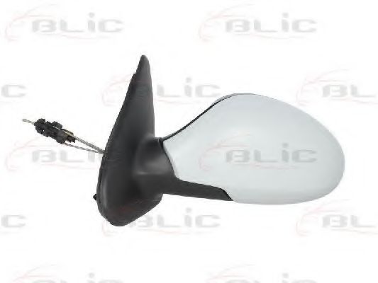 външно огледало 5402-04-1137997P