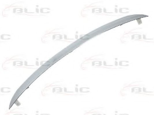 покривна/защитна лайсна, решетка на радиатора 5513-00-6030921P