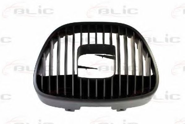 решетка пред радиатора 5601-00-6609993P