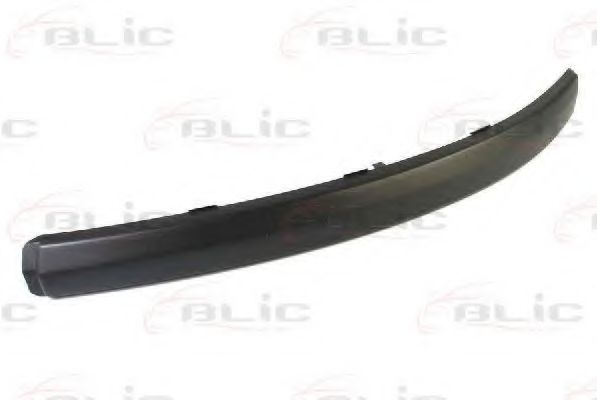 покривна/защитна лайсна, броня 5703-05-2555923P