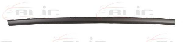 покривна/защитна лайсна, броня 5703-05-2555972P