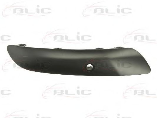 покривна/защитна лайсна, броня 5703-05-5519973P