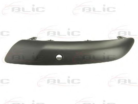 покривна/защитна лайсна, броня 5703-05-5519974P