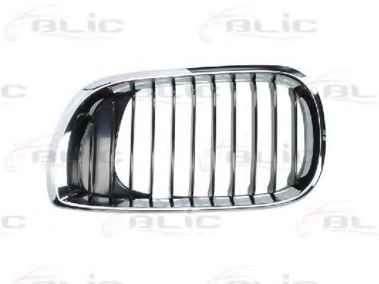 решетка пред радиатора 6502-07-0061991AP