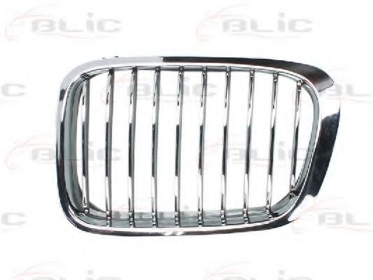 решетка пред радиатора 6502-07-0061991P