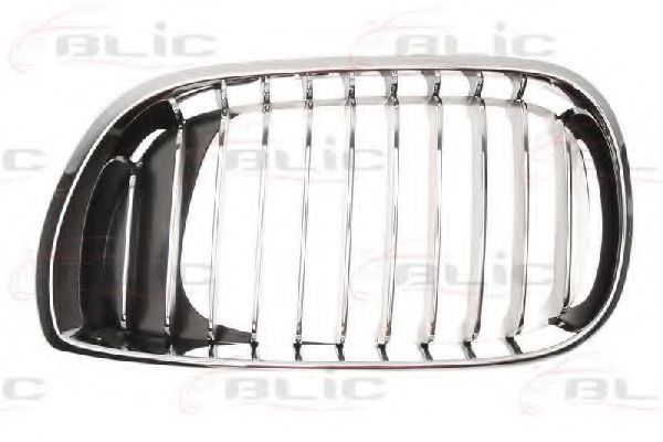 решетка пред радиатора 6502-07-0061991PP